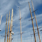 Forest of masts
