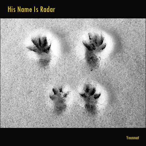 Younnat – [2010] His Name Is Radar