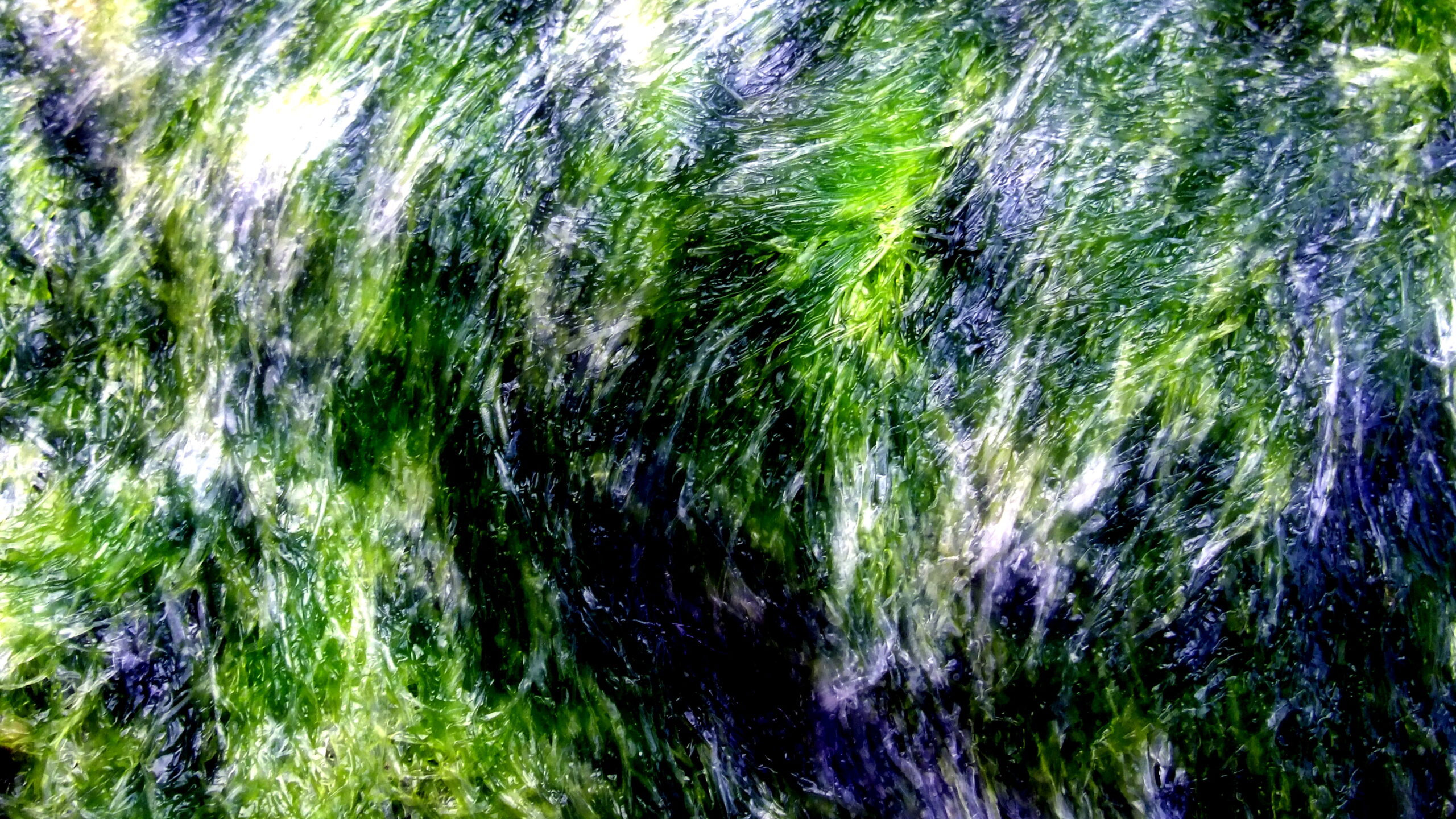 green-slime
