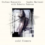 sandro-marinoni-stefano-roncarolo-roberto-padovan-2009-cold-flowers