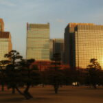 japan-tokyo-cityscape-with-trees-sunrise