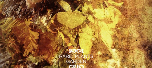 The Rare Plants Garden – [2011] The Rare Plants Garden