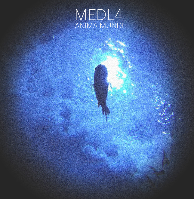 MEDL4 – [2017] Anima Mundi