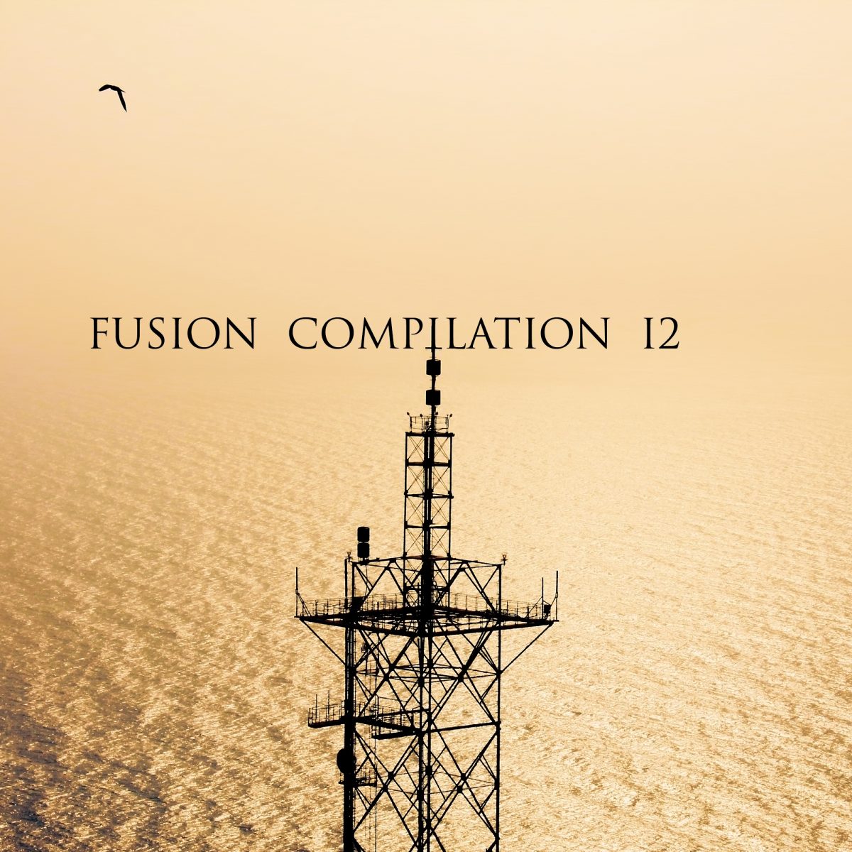 Various Artists – [2019] Fusion Compilation 12